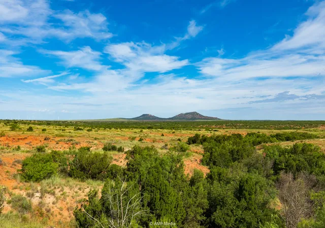 Homes for sale in Rotan, TX | Tbd Cr 440, Rotan, TX 79546 | MLS# 21129131