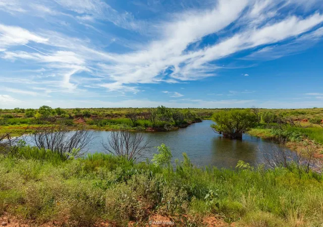 Homes for sale in Rotan, TX | Tbd Cr 440, Rotan, TX 79546 | MLS# 21129131