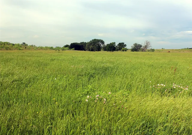 Homes for sale in Dawson, TX | 21481 Sw County Road 4040, Dawson, TX 76639 | MLS# 21128493