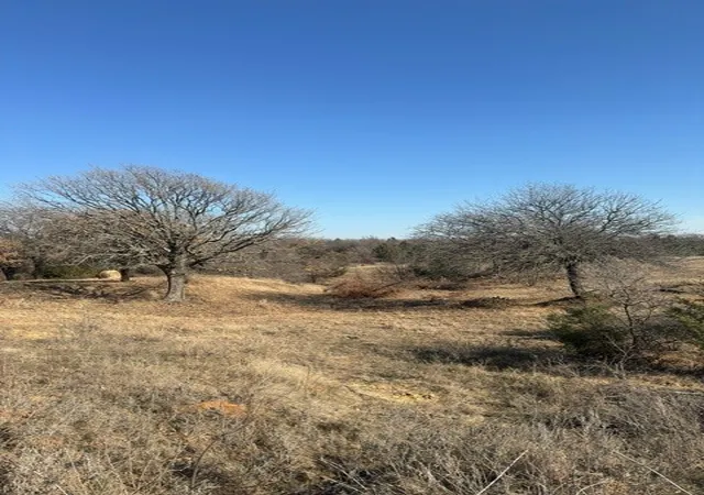 Homes for sale in Collinsville, TX | Tbd Pop Noah Rd, Collinsville, TX 76233 | MLS# 21116725