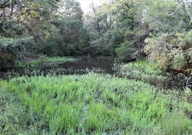Photo 3 of Land for sale at 29 Co Rd 271A, Cameron, TX 76520 | MLS# 21131280 | Listing updated on 2026-09-28