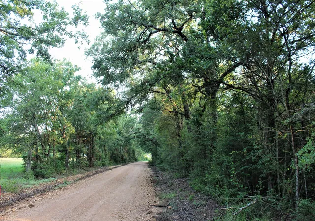 Photo 4 of Land for sale at 29 Co Rd 271A, Cameron, TX 76520 | MLS# 21131280 | Listing updated on 2026-09-28