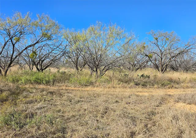 Homes for sale in Rochelle, TX | 5780 County Road 266, Rochelle, TX 76872 | MLS# 21131574