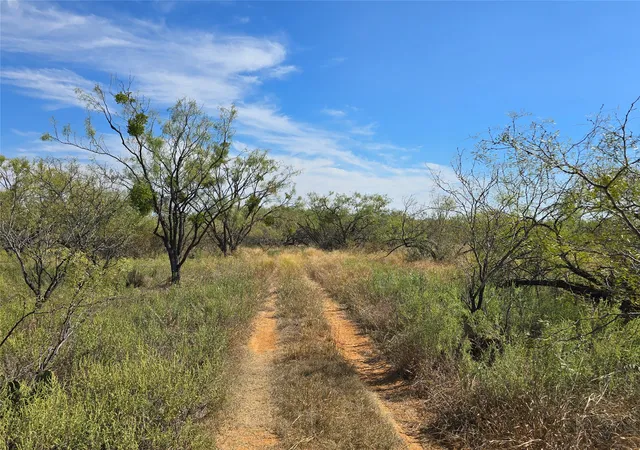 Homes for sale in Rochelle, TX | 5780 County Road 266, Rochelle, TX 76872 | MLS# 21131574