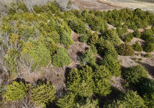 Photo 2 of Land for sale at 1300 Fm 2949, Cooper, TX 75432 | MLS# 21131617 | Listing updated on 2026-07-23