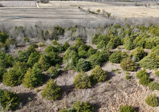 Photo 3 of Land for sale at 1300 Fm 2949, Cooper, TX 75432 | MLS# 21131617 | Listing updated on 2026-07-23