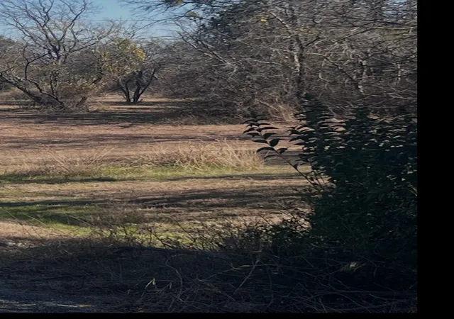 Photo 1 of Land for sale at 2 Lots Lanai Dr, Runaway Bay, TX 76426 | MLS# 21131506 | Listing updated on 2026-08-28
