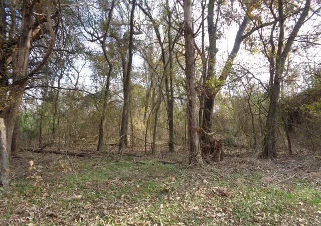 Photo 3 of Land for sale at Tbd Cr 4870, Winnsboro, TX 75494 | MLS# 21132365 | Listing updated on 2026-07-17