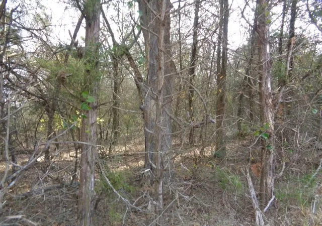 Photo 3 of Land for sale at Tbd Cr 4870, Winnsboro, TX 75494 | MLS# 21132365 | Listing updated on 2026-07-17