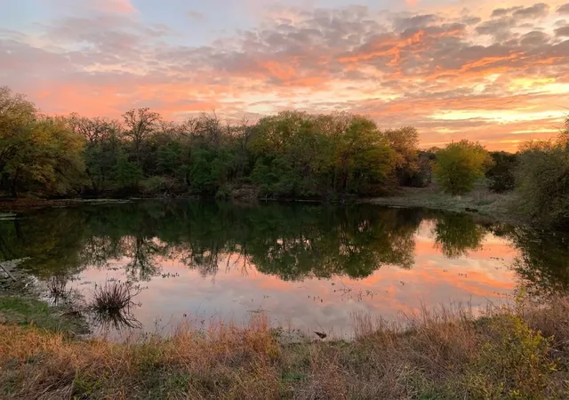 29th image of 1039 & 1033 Creek Crossing Rd, Nemo, TX 76070 | MLS# 21132625