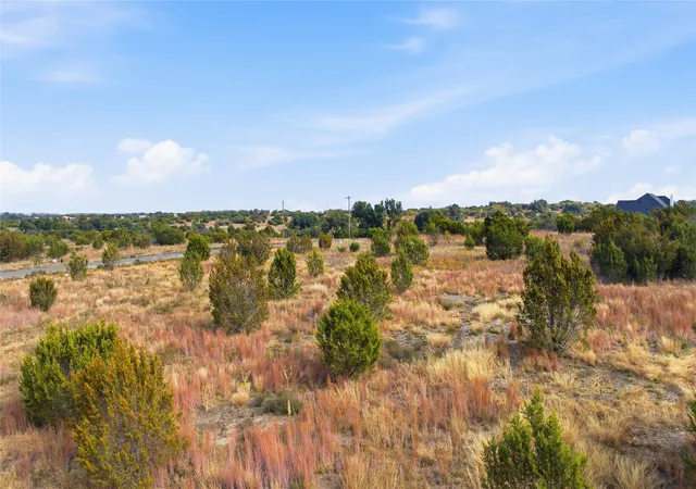 Homes for sale in Lipan, TX | 124 Gilmore Ct, Lipan, TX 76462 | MLS# 21132767