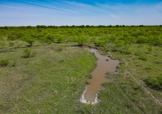 Homes for sale in Dawson, TX | Tbd Southwest 4120, Dawson, TX 76639 | MLS# 21133680