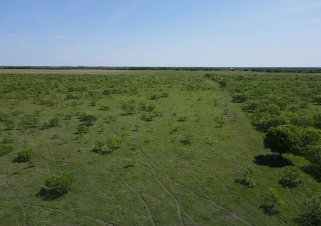 Homes for sale in Dawson, TX | Tbd Southwest 4120, Dawson, TX 76639 | MLS# 21133680