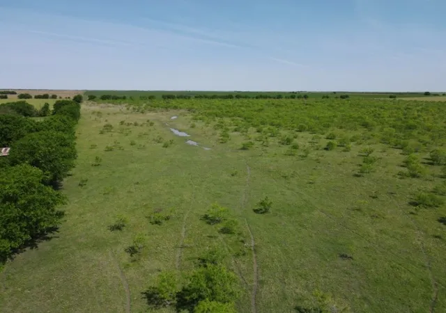 Homes for sale in Dawson, TX | Tbd Southwest 4120, Dawson, TX 76639 | MLS# 21133680