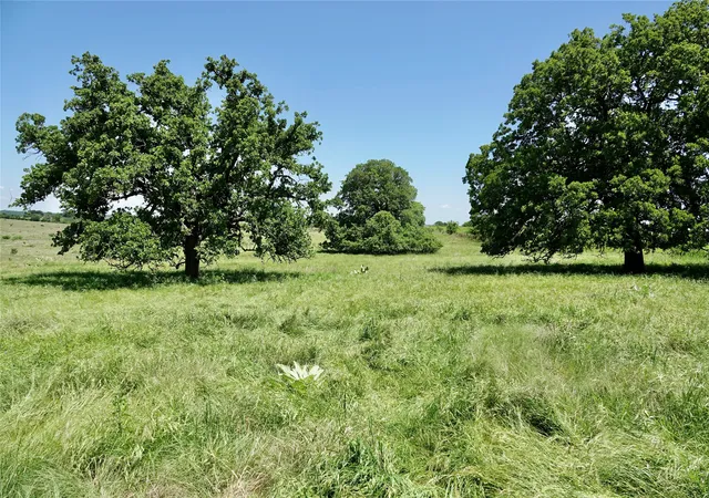 Homes for sale in Priddy, TX | 801 N Sh 16, Priddy, TX 76870 | MLS# 21134624