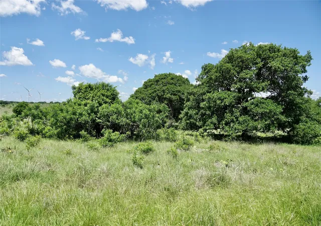 Homes for sale in Priddy, TX | 801 N Sh 16, Priddy, TX 76870 | MLS# 21134624