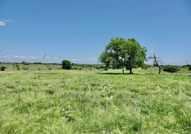 Homes for sale in Priddy, TX | 801 N Sh 16, Priddy, TX 76870 | MLS# 21134624