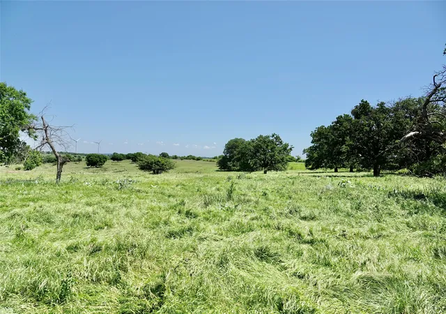 Homes for sale in Priddy, TX | 801 N Sh 16, Priddy, TX 76870 | MLS# 21134624