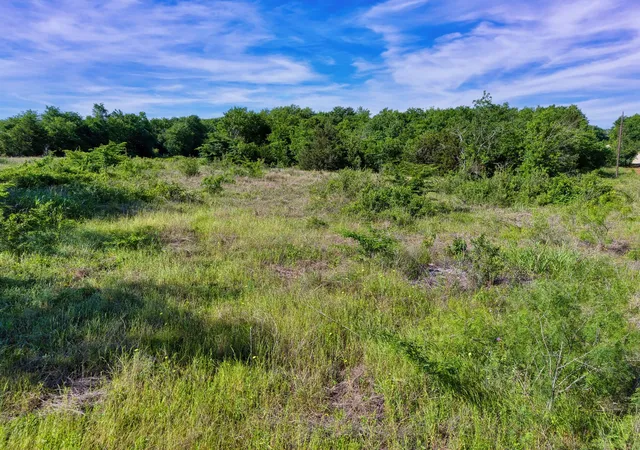 Photo 2 of Land for sale at Lcr 462 Lcr 462, Mexia, TX 76667 | MLS# 21134894 | Listing updated on 2026-09-03