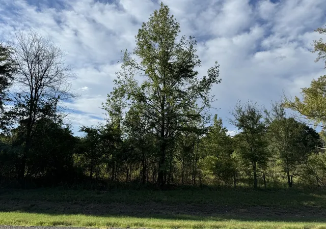 Photo 1 of Land for sale at Tbd Fm 195, Bagwell, TX 75412 | MLS# 21136072 | Listing updated on 2026-08-23