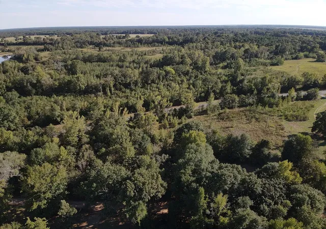 Photo 2 of Land for sale at Tbd Fm 195, Bagwell, TX 75412 | MLS# 21136072 | Listing updated on 2026-08-23