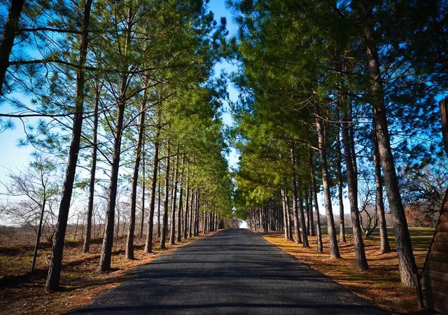 Photo 2 of Land for sale at 131 Lincoln Dr, Streetman, TX 75859 | MLS# 21134889 | Listing updated on 2026-08-24