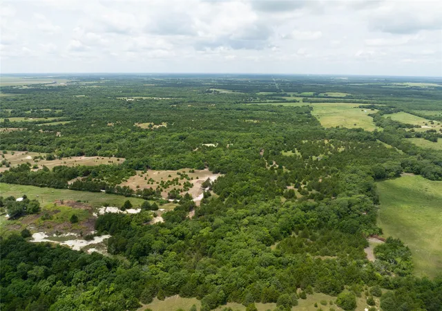 Homes for sale in Honey Grove, TX | Tbd Tract 8 Cr 2997, Honey Grove, TX 75446 | MLS# 21136184