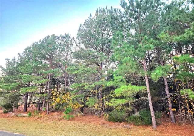Land for sale at Lot 401 Mallard Way, Larue, TX 75770 | MLS# 21135031