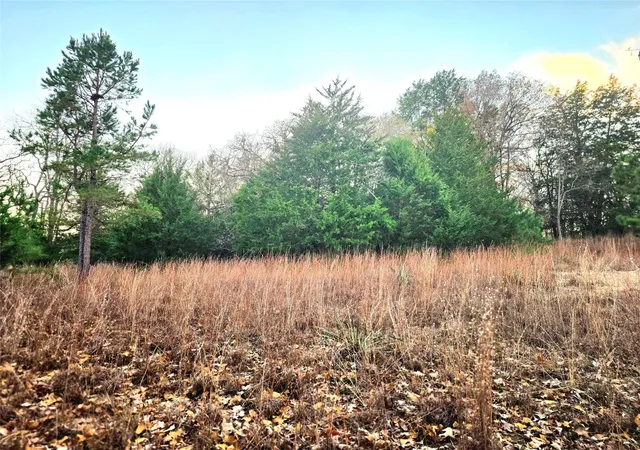 Photo 2 of Land for sale at Lot 401 Mallard Way, Larue, TX 75770 | MLS# 21135031 | Listing updated on 2026-09-22