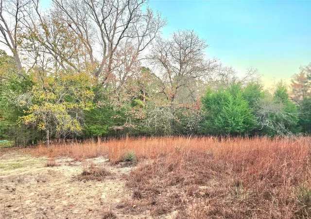 Photo 3 of Land for sale at Lot 401 Mallard Way, Larue, TX 75770 | MLS# 21135031 | Listing updated on 2026-09-22