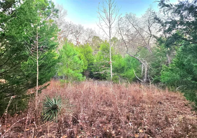 Photo 4 of Land for sale at Lot 401 Mallard Way, Larue, TX 75770 | MLS# 21135031 | Listing updated on 2026-09-22