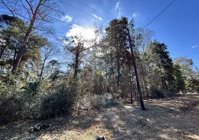 Homes for sale in Woodville, TX | Lot 12 17Th St, Woodville, TX 75979 | MLS# 21137081