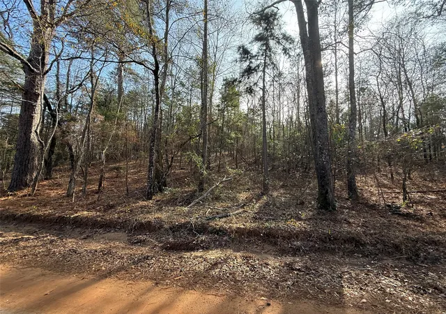 Homes for sale in Marietta, TX | Tbd Cr 2733, Marietta, TX 75566 | MLS# 21137391