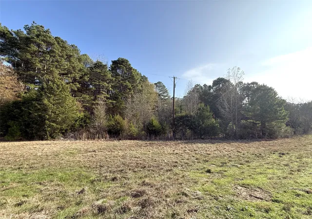 Homes for sale in Marietta, TX | Tbd Fm 2888, Marietta, TX 75566 | MLS# 21137394