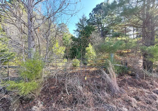 Homes for sale in Marietta, TX | Tbd Fm 2888, Marietta, TX 75566 | MLS# 21137394