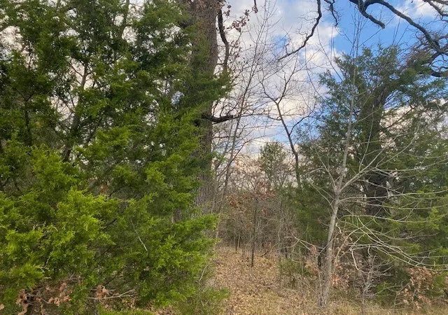 Photo 2 of Land for sale at Tbd Cr 1200, Athens, TX 75751 | MLS# 21137286 | Listing updated on 2026-09-17