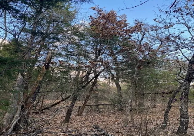 Photo 3 of Land for sale at Tbd Cr 1200, Athens, TX 75751 | MLS# 21137286 | Listing updated on 2026-09-17