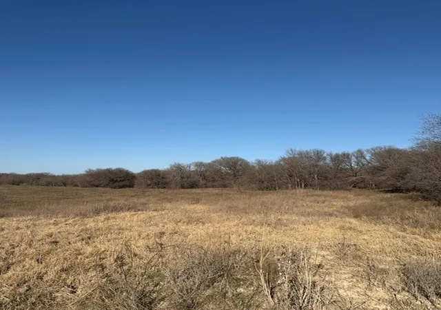 Homes for sale in Grandview, TX | 454 Private Road, Grandview, TX 76050 | MLS# 21136731