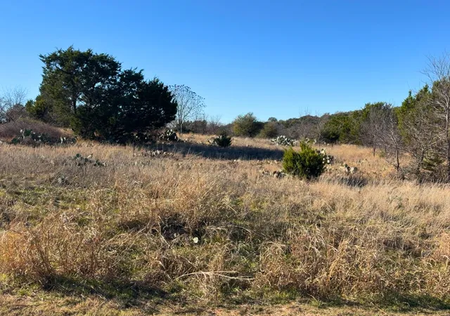 Homes for sale in Graford, TX | Lot 115 Balleycastle Dr, Graford, TX 76449 | MLS# 21139015