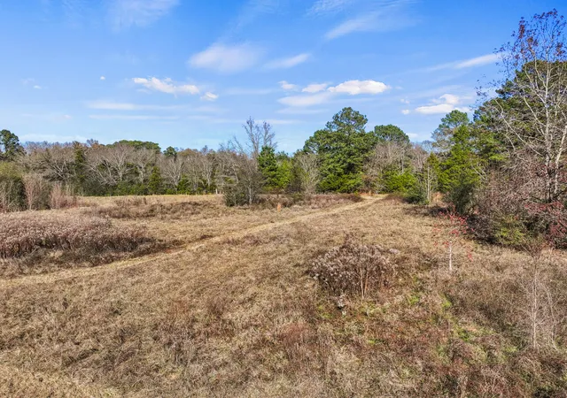 Homes for sale in Hughes Springs, TX | Tbd County Road 2865, Hughes Springs, TX 75656 | MLS# 21133840
