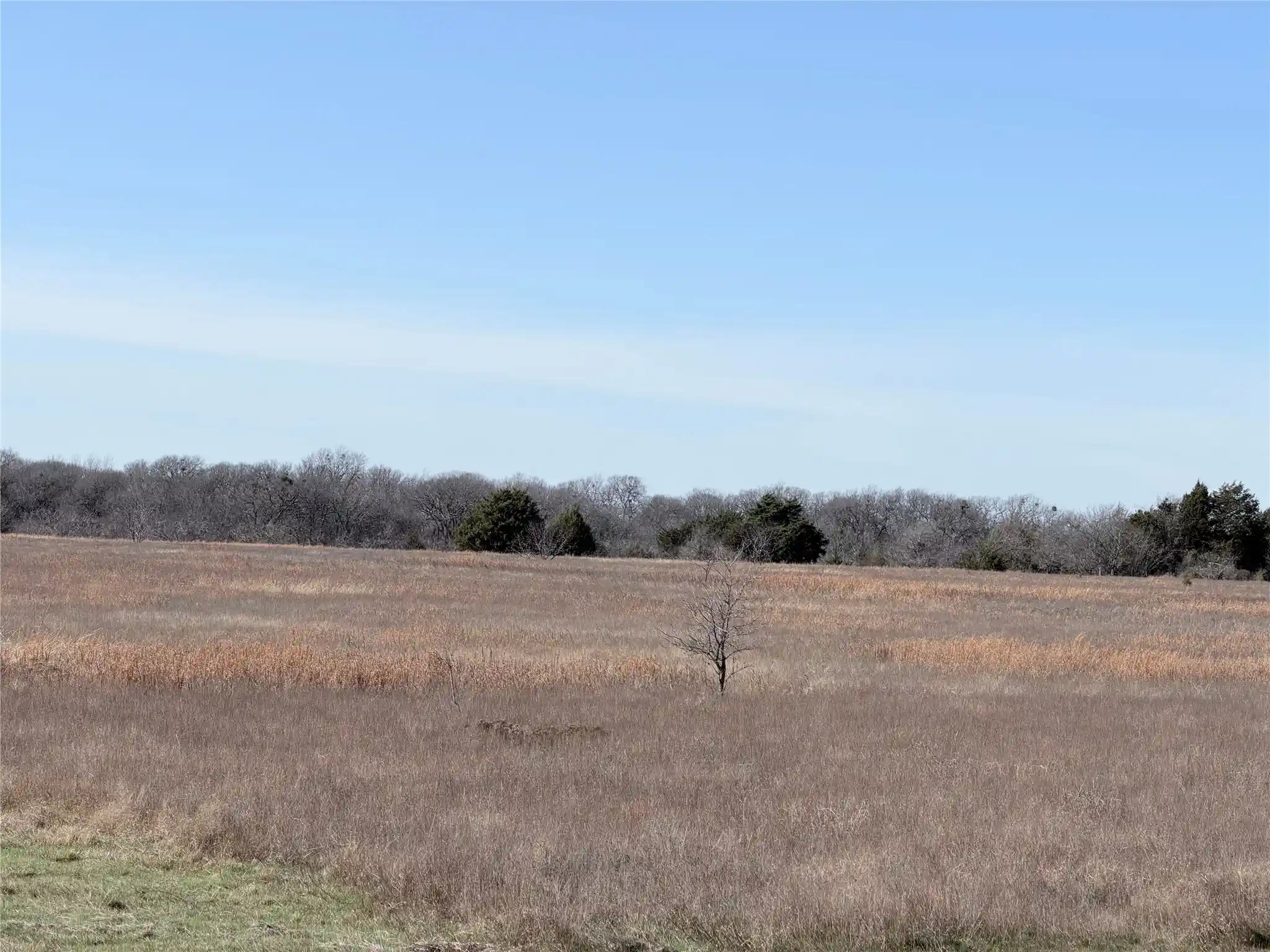 Photo 1 of Land for sale at Tbd Ne County Road 2140, Kerens, TX 75144 | MLS# 21141093 | Listing updated on 2026-05-28