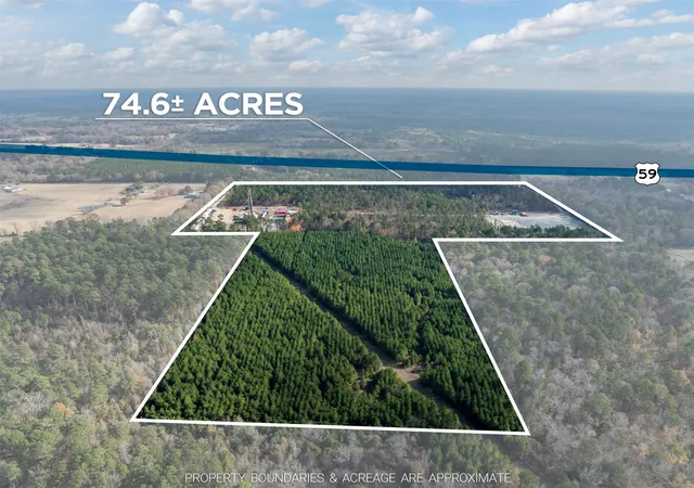 Homes for sale in Marshall, TX | Tbd Tom Woodley Rd, Marshall, TX 75672 | MLS# 21141754