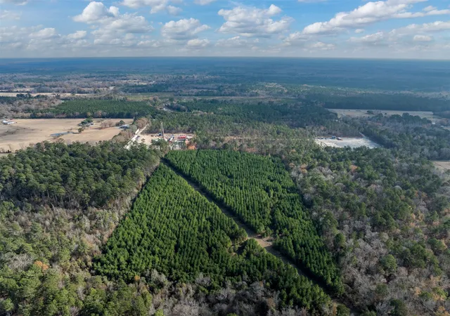 Homes for sale in Marshall, TX | Tbd Tom Woodley Rd, Marshall, TX 75672 | MLS# 21141754