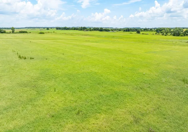 Homes for sale in De Leon, TX | Tbd County Road 494 (W), De Leon, TX 76444 | MLS# 21142567