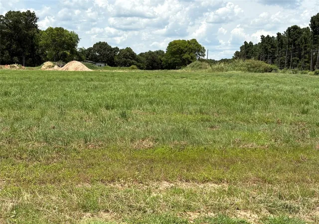 Homes for sale in Yantis, TX | Tbd Pvt 5948 St #19, Yantis, TX 75497 | MLS# 21142637