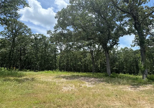 2nd image of Tbd Pvt 5948 #22, Yantis, TX 75497 | MLS# 21142643