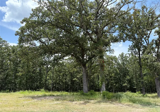 Photo 3 of Land for sale at Tbd Pvt 5948 #22, Yantis, TX 75497 | MLS# 21142643 | Listing updated on 2026-07-09