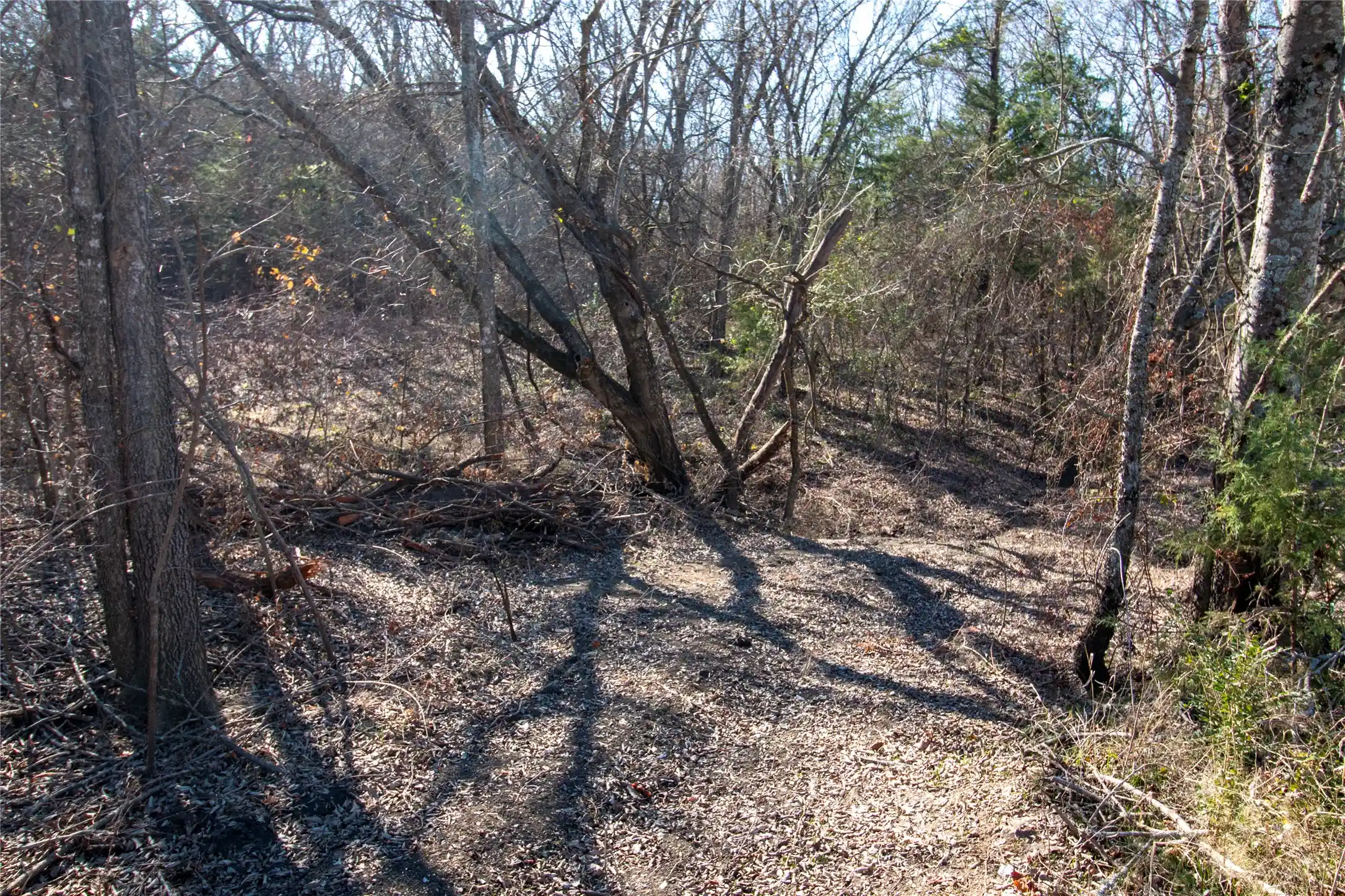 Photo 1 of Sale Pending at Lot 2 County Road 2905, Dodd City, TX 75438 | MLS# 21143265 | Listing updated on 2026-07-01