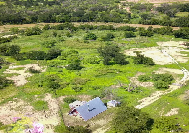 Homes for sale in Mullin, TX | 410 County Road 433, Mullin, TX 76864 | MLS# 21143622