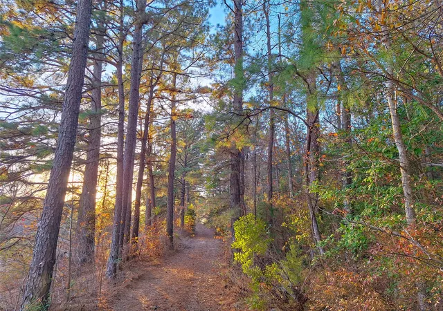 Homes for sale in Hughes Springs, TX | Tbd County Road 2920, Hughes Springs, TX 75656 | MLS# 21142080